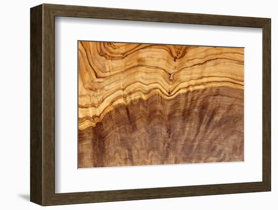 Olive Wood Texture-Veniamin Kraskov-Framed Photographic Print