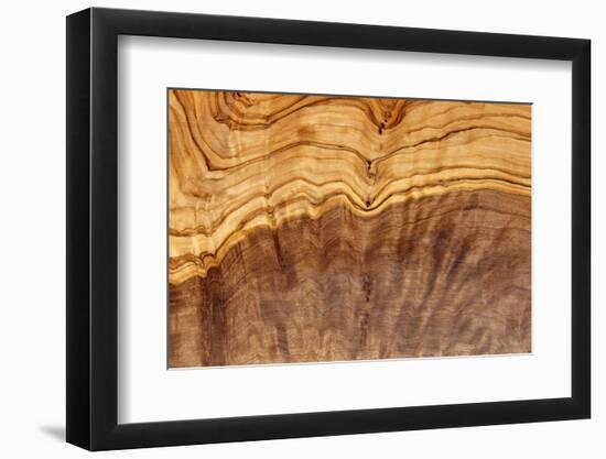 Olive Wood Texture-Veniamin Kraskov-Framed Photographic Print