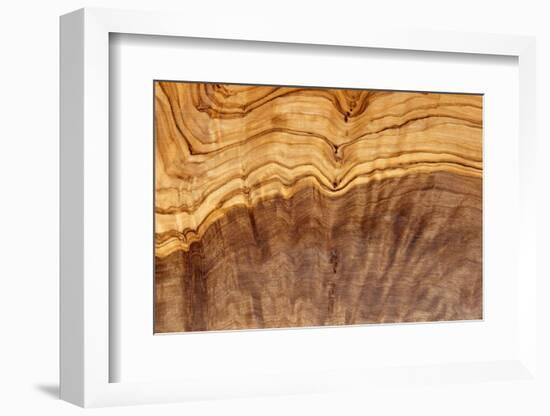 Olive Wood Texture-Veniamin Kraskov-Framed Photographic Print