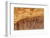 Olive Wood Texture-Veniamin Kraskov-Framed Photographic Print