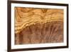 Olive Wood Texture-Veniamin Kraskov-Framed Photographic Print