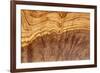 Olive Wood Texture-Veniamin Kraskov-Framed Photographic Print