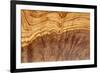 Olive Wood Texture-Veniamin Kraskov-Framed Photographic Print