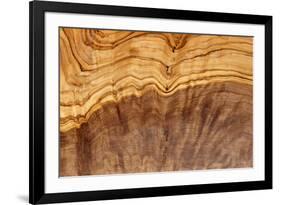 Olive Wood Texture-Veniamin Kraskov-Framed Photographic Print