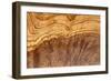 Olive Wood Texture-Veniamin Kraskov-Framed Photographic Print