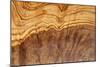 Olive Wood Texture-Veniamin Kraskov-Mounted Photographic Print