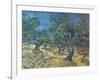 Olivenbaeume (Les Oiliviers), 1889-Vincent van Gogh-Framed Giclee Print