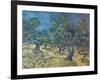 Olivenbaeume (Les Oiliviers), 1889-Vincent van Gogh-Framed Giclee Print