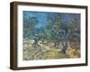 Olivenbaeume (Les Oiliviers), 1889-Vincent van Gogh-Framed Giclee Print