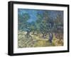 Olivenbaeume (Les Oiliviers), 1889-Vincent van Gogh-Framed Giclee Print