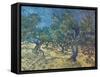 Olivenbaeume (Les Oiliviers), 1889-Vincent van Gogh-Framed Stretched Canvas