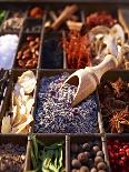 Dried Lavender Flowers with Various Spices in a Seedling Tray-Oliver Brachat-Photographic Print