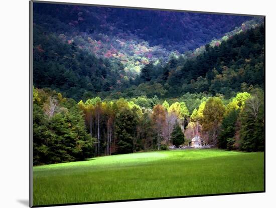 Oliver Cabin GSMNP, TN-J.D. Mcfarlan-Mounted Photographic Print