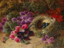 Apple Blossoms, a Primrose and Birds Nest on a Mossy Bank-Oliver Clare-Stretched Canvas