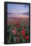 Essential Black
