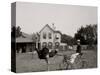 Oliver W., the Famous Trotting Ostrich at Florida Ostrich Farm, Jacksonville-null-Stretched Canvas