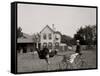 Oliver W., the Famous Trotting Ostrich at Florida Ostrich Farm, Jacksonville-null-Framed Stretched Canvas