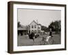 Oliver W., the Famous Trotting Ostrich at Florida Ostrich Farm, Jacksonville-null-Framed Photo