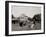 Oliver W., the Famous Trotting Ostrich at Florida Ostrich Farm, Jacksonville-null-Framed Photo