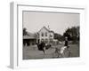 Oliver W., the Famous Trotting Ostrich at Florida Ostrich Farm, Jacksonville-null-Framed Photo