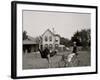 Oliver W., the Famous Trotting Ostrich at Florida Ostrich Farm, Jacksonville-null-Framed Photo