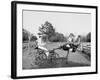 Oliver W., the Famous Trotting Ostrich at Florida Ostrich Farm, Jacksonville-null-Framed Photo