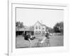 Oliver W., the Famous Trotting Ostrich, Florida Ostrich Farm, Jacksonville, Florida-null-Framed Photo