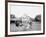 Oliver W., the Famous Trotting Ostrich, Florida Ostrich Farm, Jacksonville, Florida-null-Framed Photo