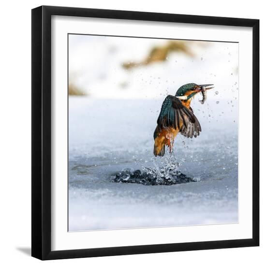 Photographic Print, , large