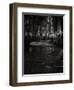 Olivers Place-Doug Chinnery-Framed Photographic Print