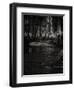 Olivers Place-Doug Chinnery-Framed Photographic Print