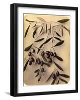 Olives, 1870s-Pietro Guidi-Framed Giclee Print