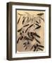 Olives, 1870s-Pietro Guidi-Framed Giclee Print