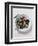 Olives and Olive Sprig on Plate-Eising Studio - Food Photo and Video-Framed Photographic Print