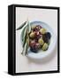 Olives and Olive Sprig on Plate-Eising Studio - Food Photo and Video-Framed Stretched Canvas