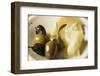 Olives and Parmesan-Foodcollection-Framed Photographic Print