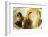 Olives and Parmesan-Foodcollection-Framed Photographic Print