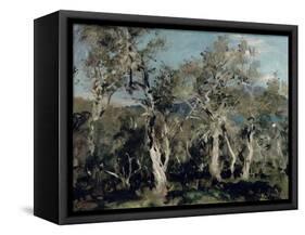 Olives, Corfu, 1912-John Singer Sargent-Framed Stretched Canvas