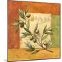 Olives du Midi I-Delphine Corbin-Mounted Premium Giclee Print