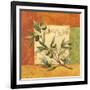 Olives du Midi I-Delphine Corbin-Framed Art Print