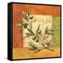 Olives du Midi I-Delphine Corbin-Framed Stretched Canvas