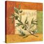 Olives du Midi I-Delphine Corbin-Stretched Canvas