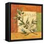 Olives du Midi I-Delphine Corbin-Framed Stretched Canvas