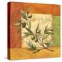 Olives du Midi I-Delphine Corbin-Stretched Canvas