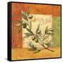 Olives du Midi I-Delphine Corbin-Framed Stretched Canvas