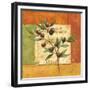 Olives du Midi II-Delphine Corbin-Framed Premium Giclee Print