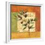 Olives du Midi II-Delphine Corbin-Framed Premium Giclee Print