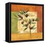 Olives du Midi II-Delphine Corbin-Framed Stretched Canvas