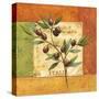 Olives du Midi II-Delphine Corbin-Stretched Canvas