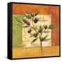 Olives du Midi II-Delphine Corbin-Framed Stretched Canvas